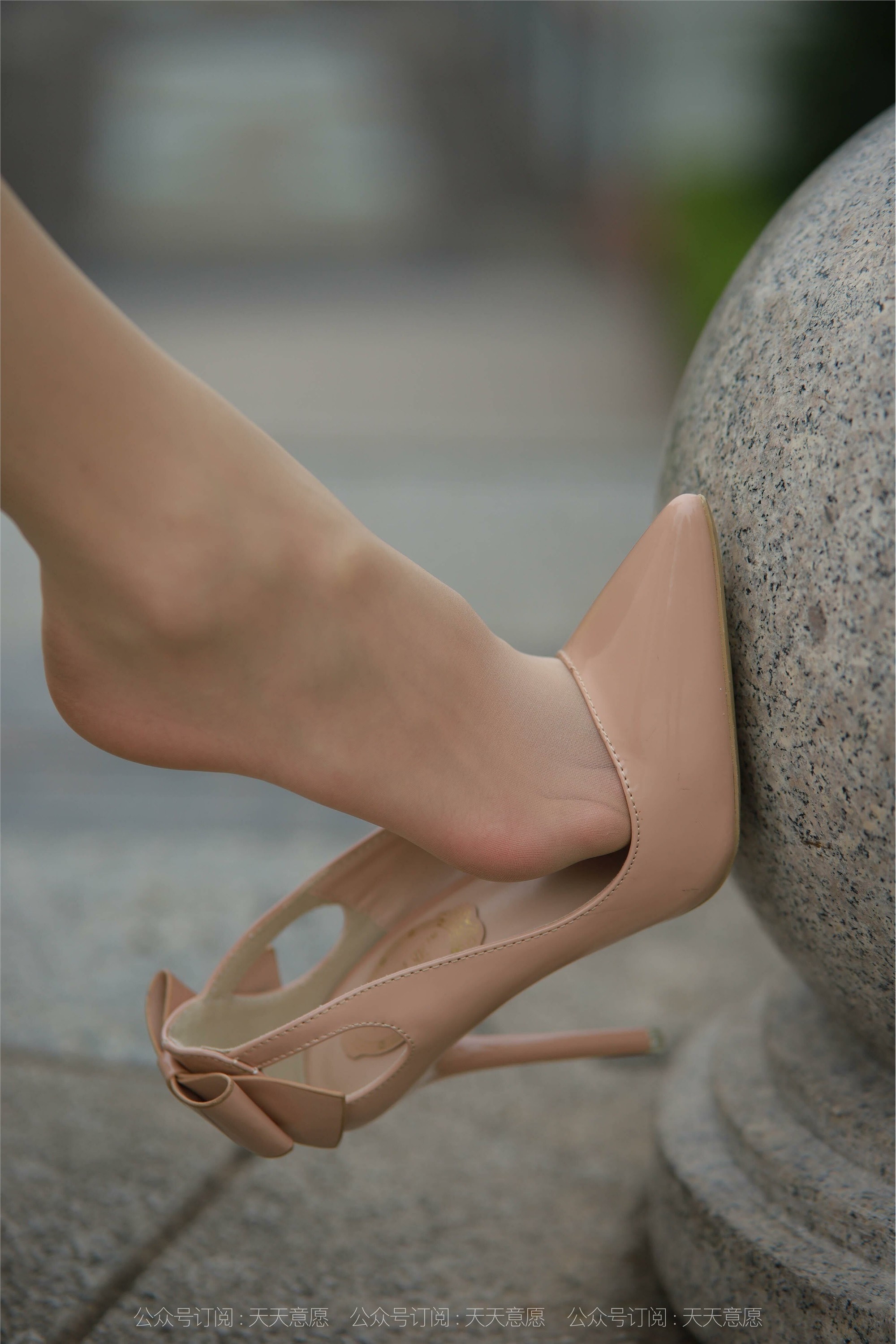 IESS异思趣向 2021.11.11 丝享家971：小六《城市丽人》